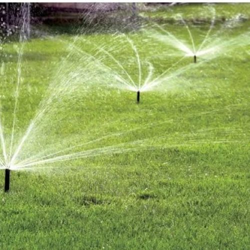 شبكات ري الطائف: دليلك الشامل للصيانة والتمديد لضمان حديقة مزدهرة