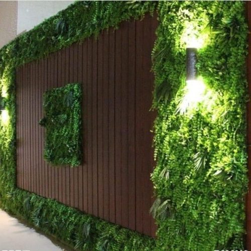 تنسيق حدائق خميس مشيط وابها بنصف الثمن